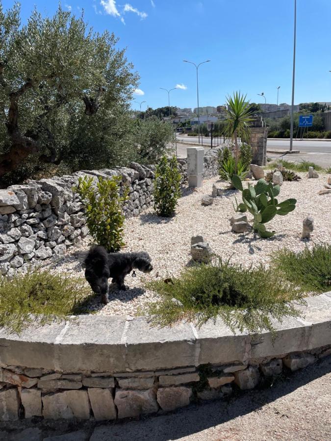 Trullo Ronzicchio Ferienhaus *